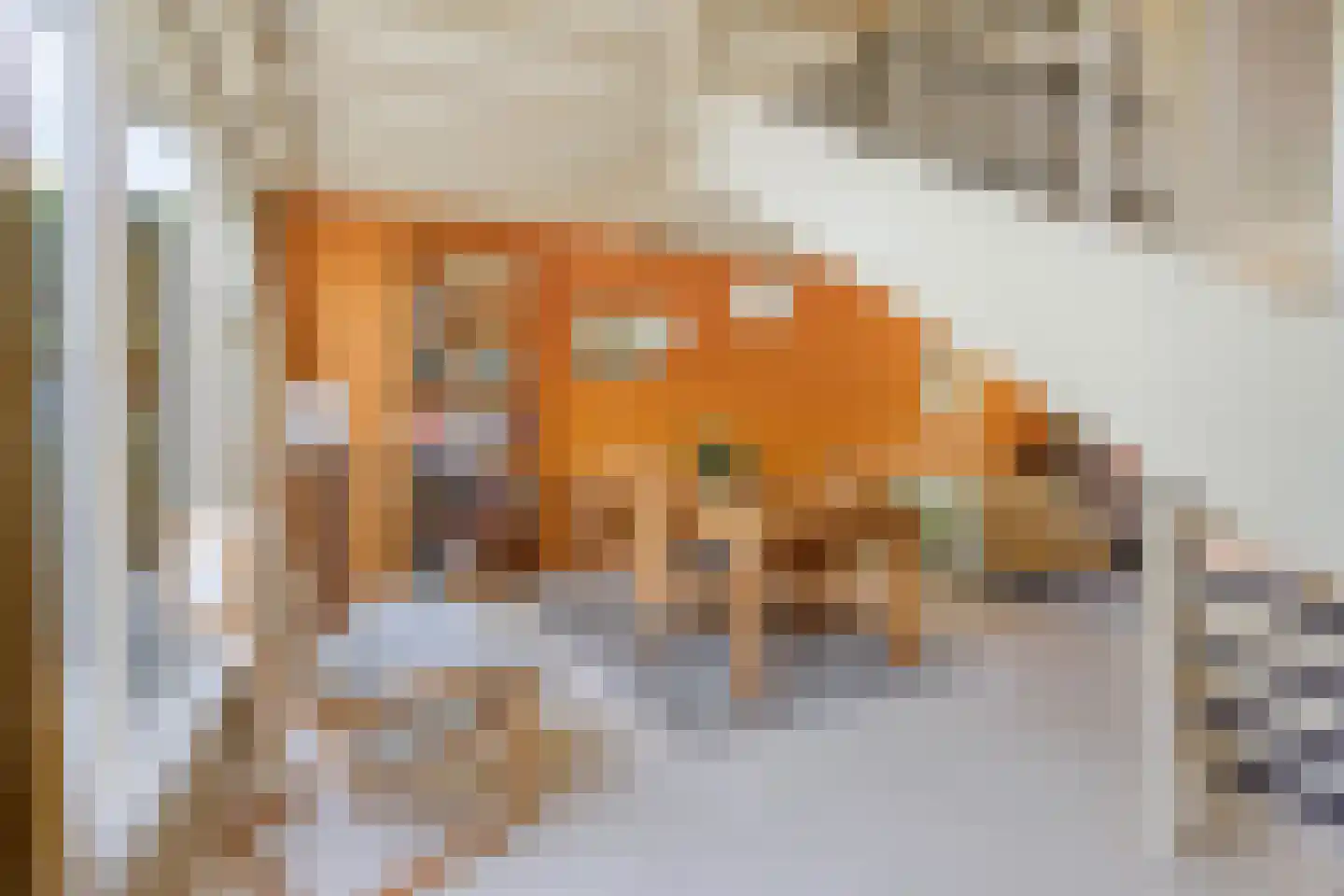 Buitentuin 64 Zaltbommel thumbnail 4