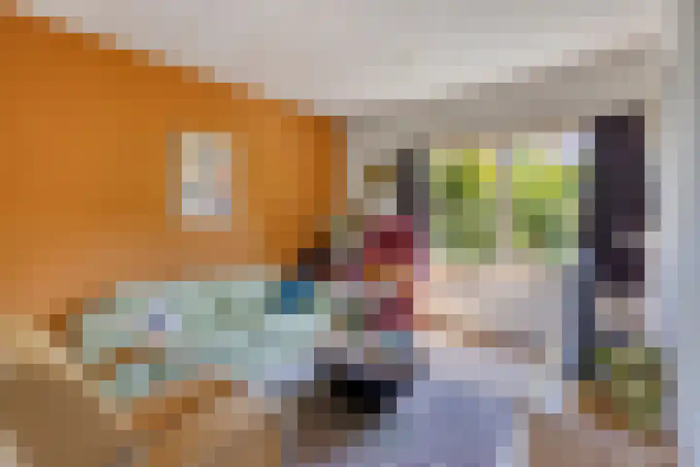 Buitentuin 64 Zaltbommel thumbnail 6