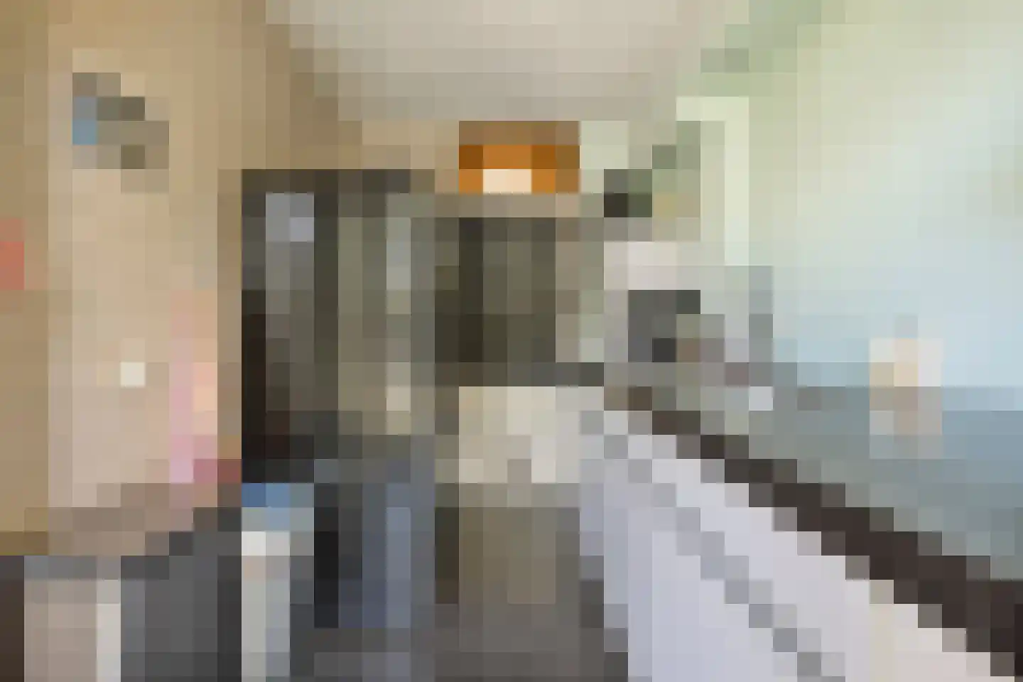 Buitentuin 64 Zaltbommel thumbnail 9