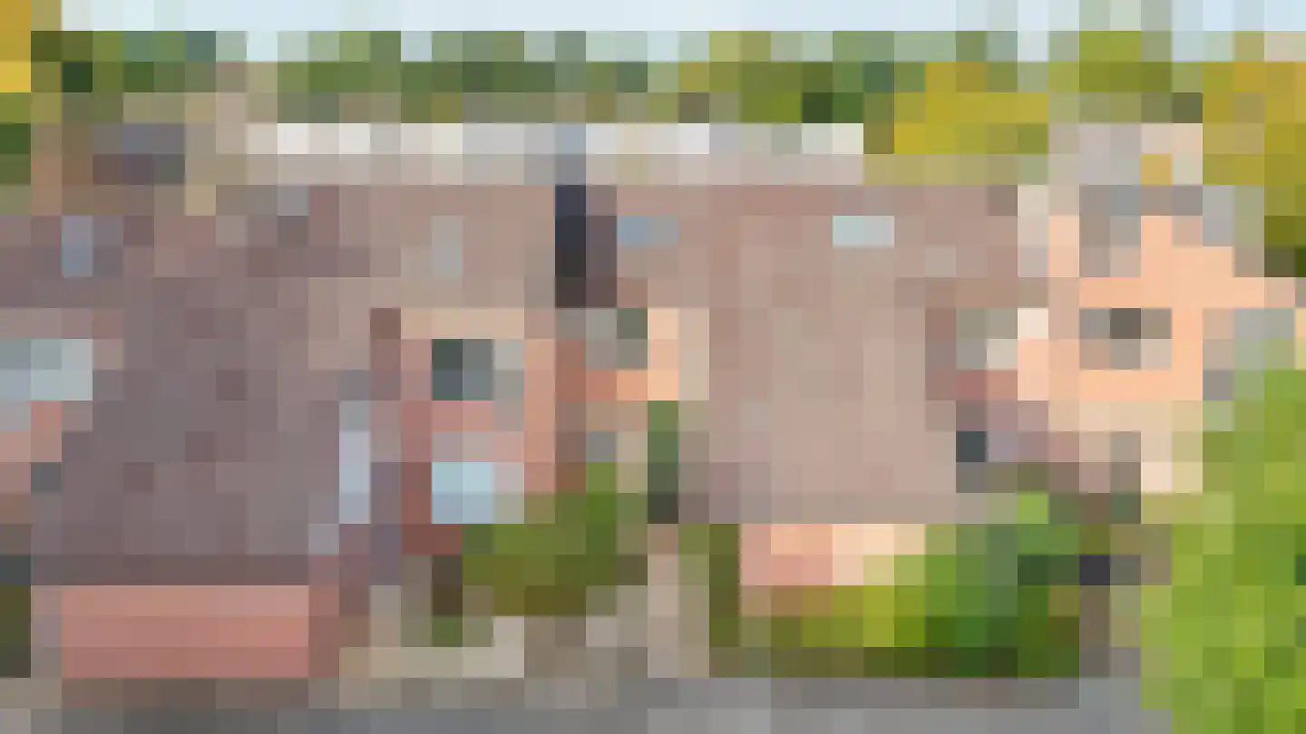 Buitentuin 68 in Zaltbommel