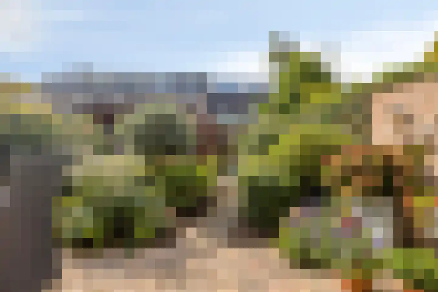 Buitentuin 69 Zaltbommel thumbnail 30