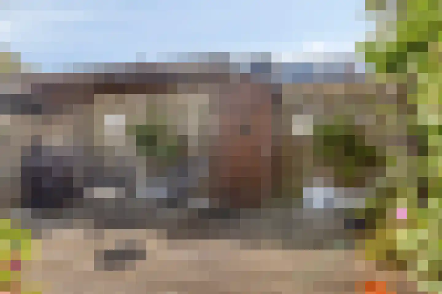 Buitentuin 69 Zaltbommel thumbnail 31