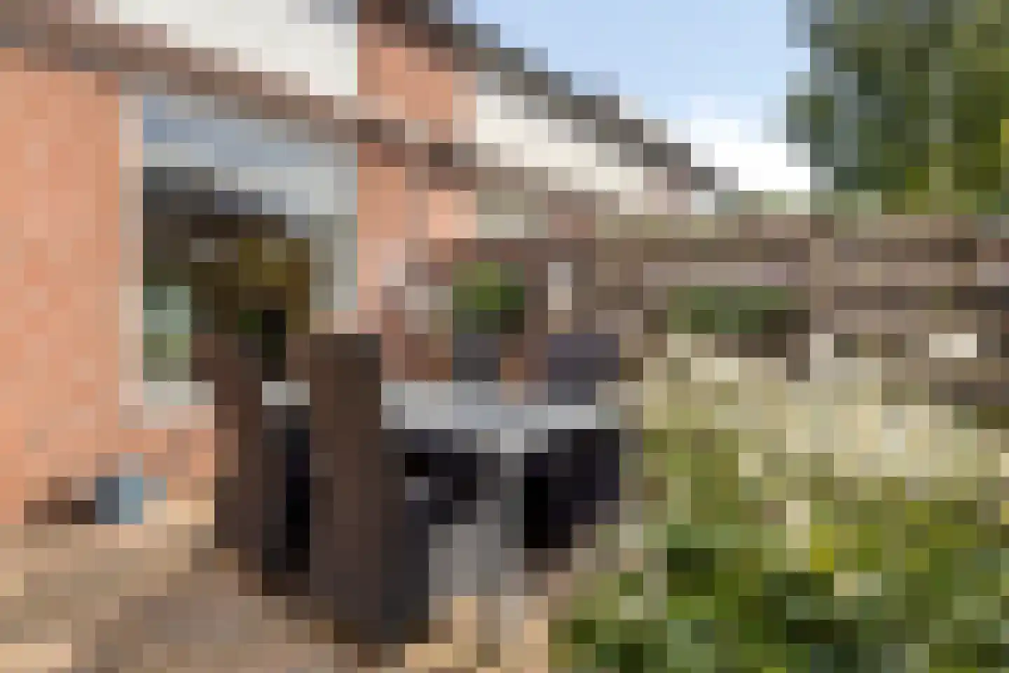 Buitentuin 69 Zaltbommel thumbnail 32