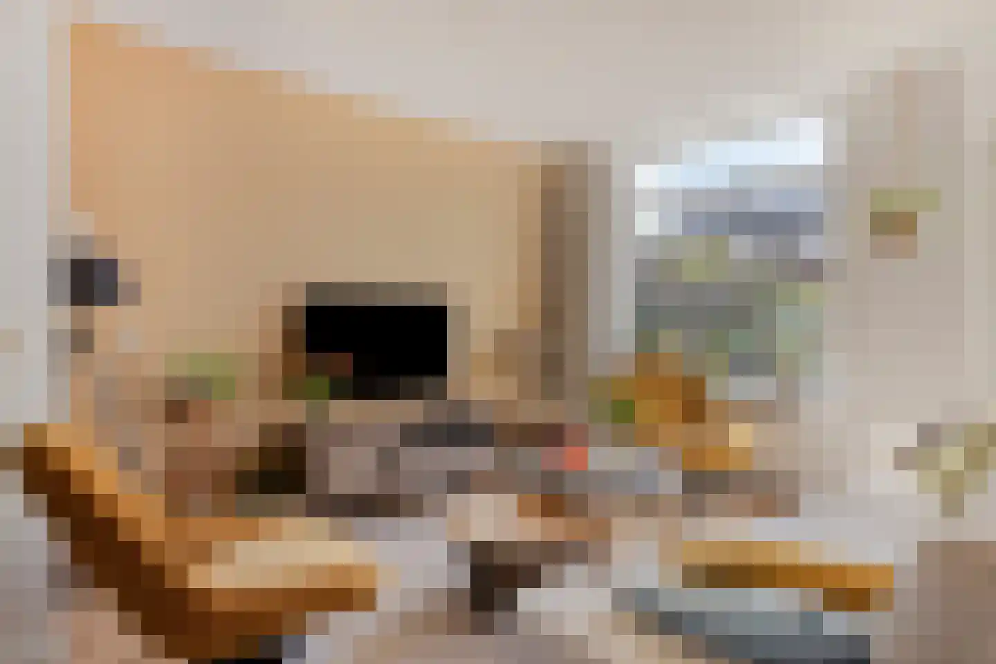 Buitentuin 69 Zaltbommel thumbnail 9