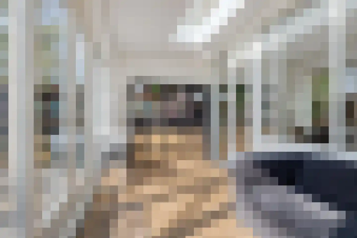 Buitentuin 97 Zaltbommel thumbnail 15