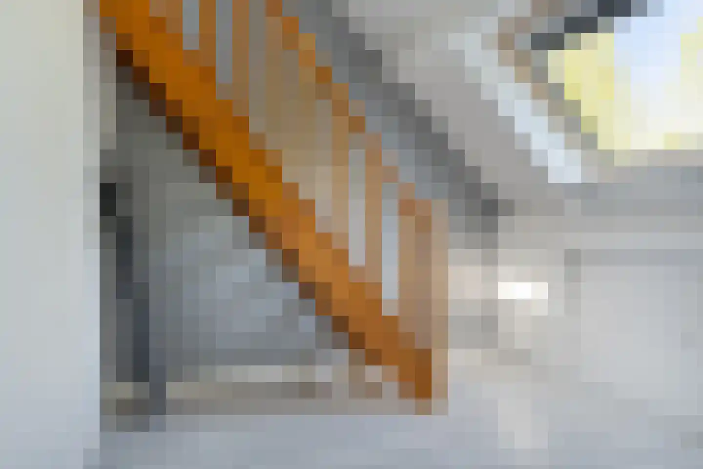 Buitentuin 97 Zaltbommel thumbnail 25