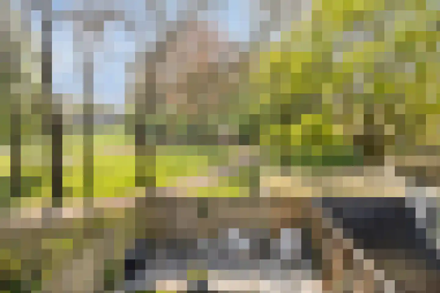 Buitentuin 97 Zaltbommel thumbnail 27