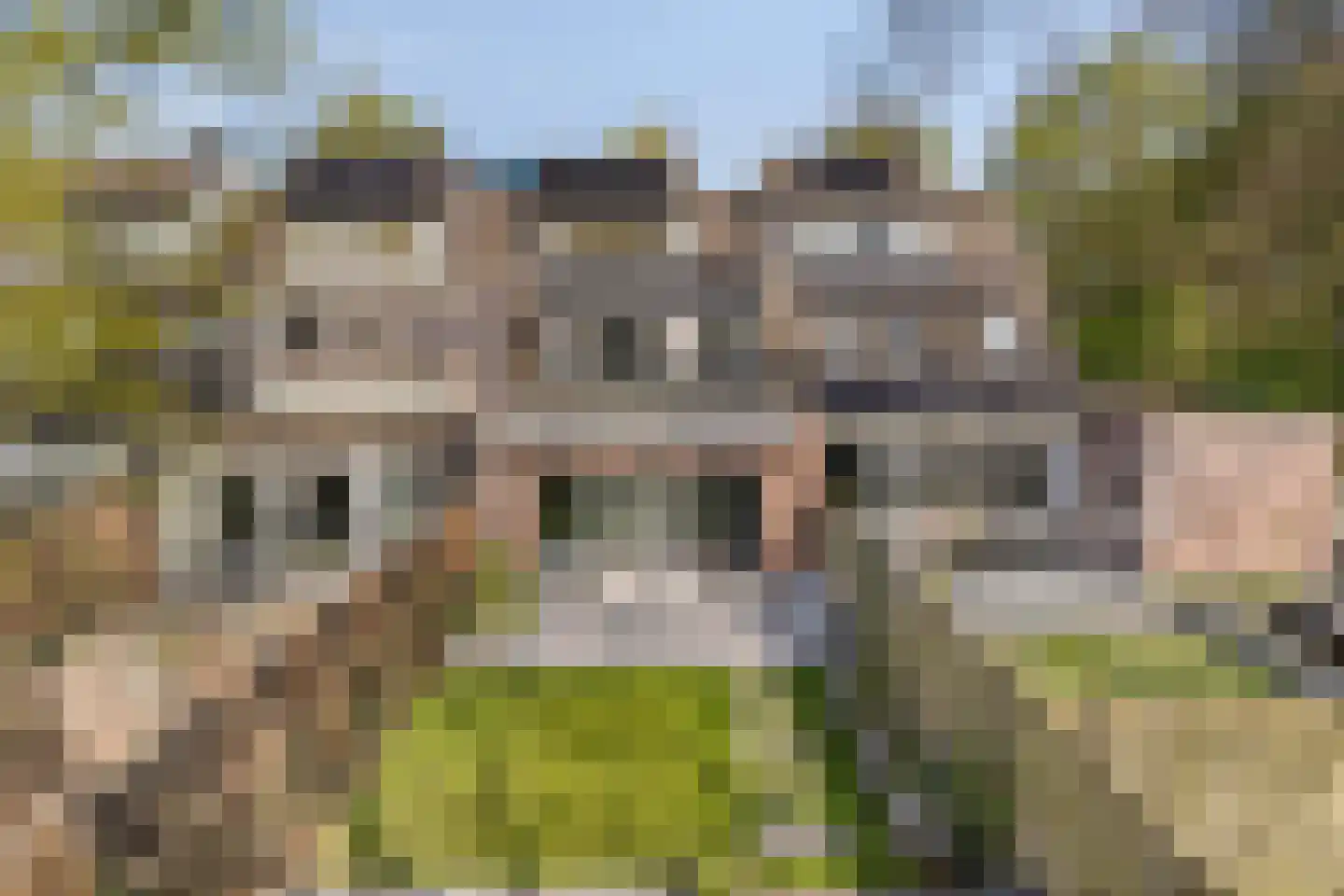 Buitentuin 97 Zaltbommel thumbnail 28