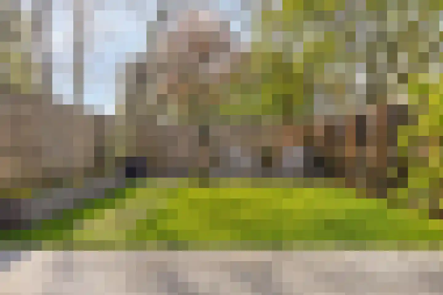 Buitentuin 97 Zaltbommel thumbnail 29
