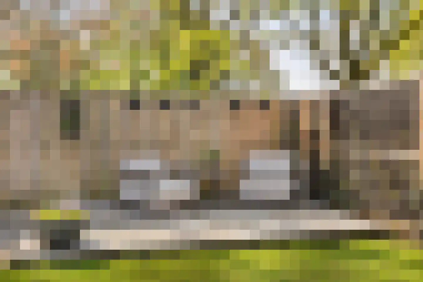 Buitentuin 97 Zaltbommel thumbnail 30