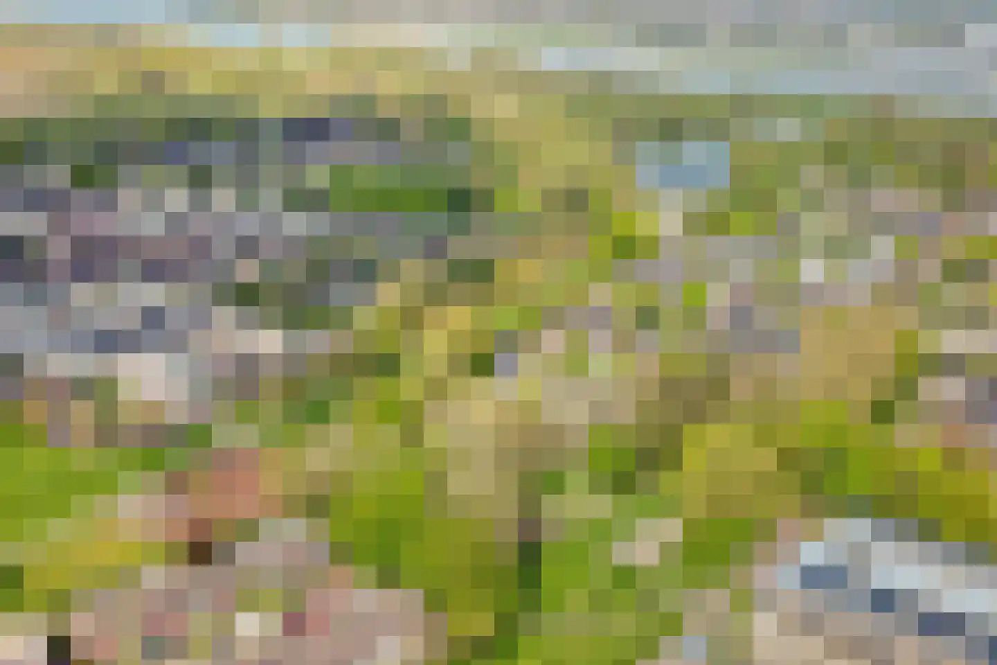 Buitentuin 97 Zaltbommel thumbnail 33