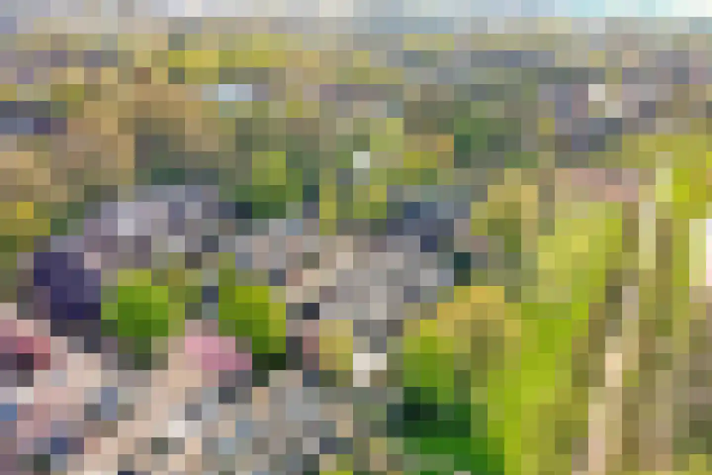 Buitentuin 97 Zaltbommel thumbnail 35
