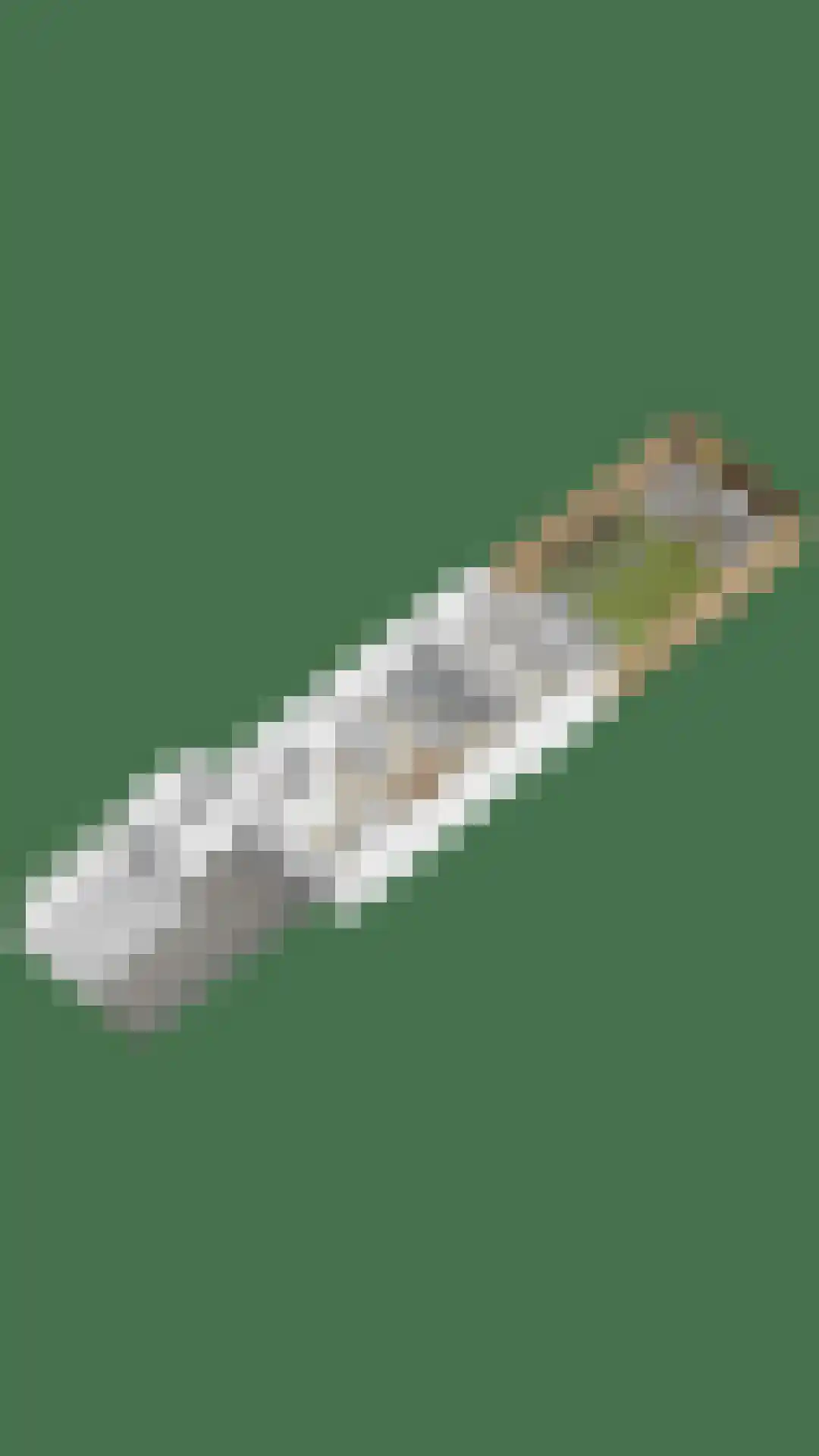 Buitentuin 97 Zaltbommel thumbnail 43