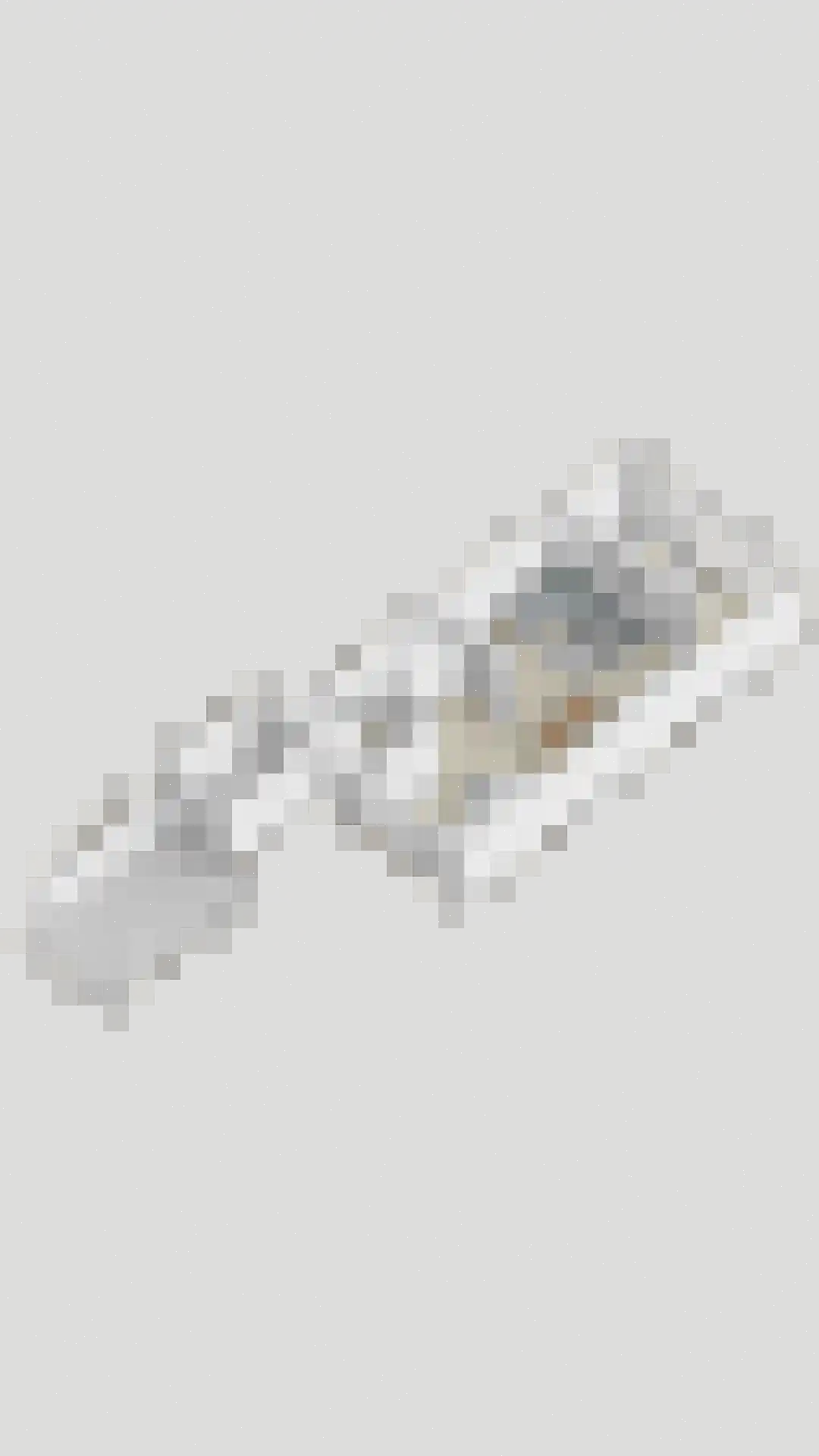Buitentuin 97 Zaltbommel thumbnail 44