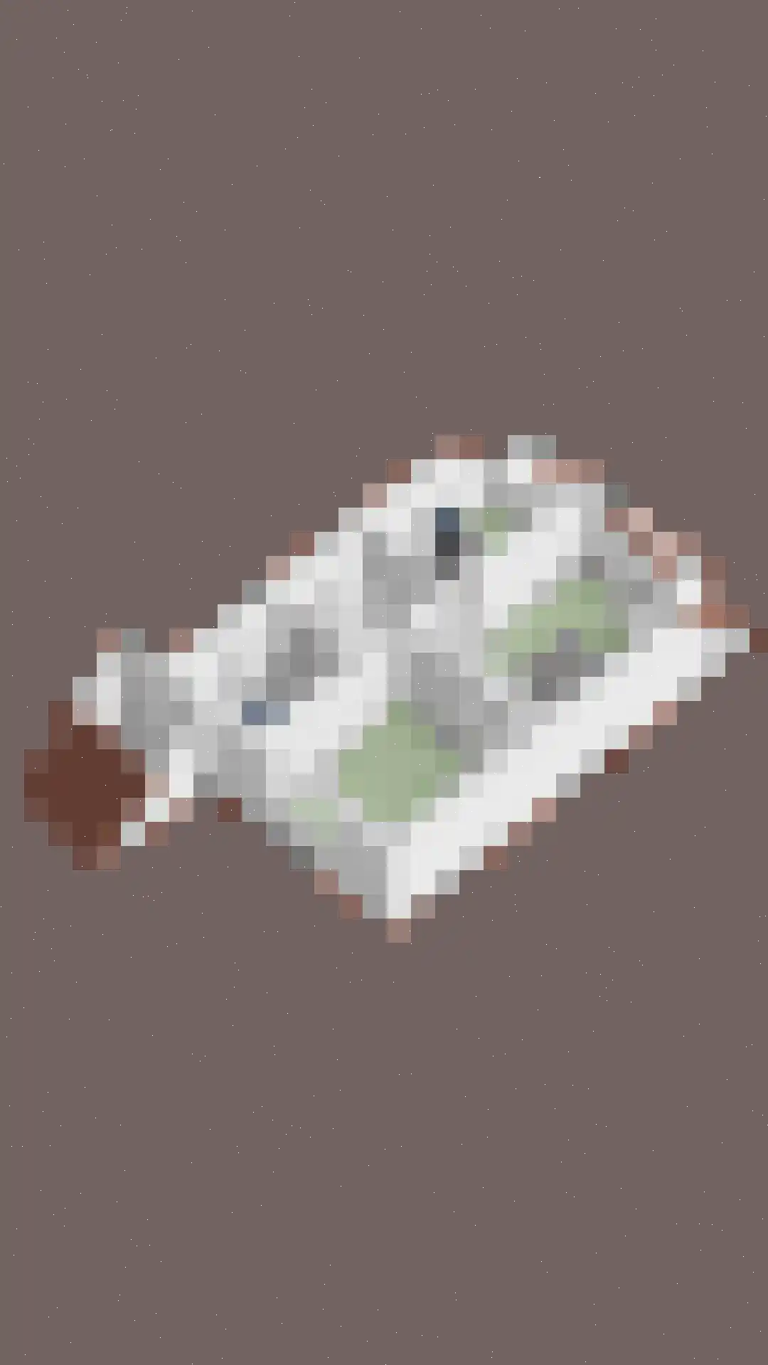 Buitentuin 97 Zaltbommel thumbnail 45