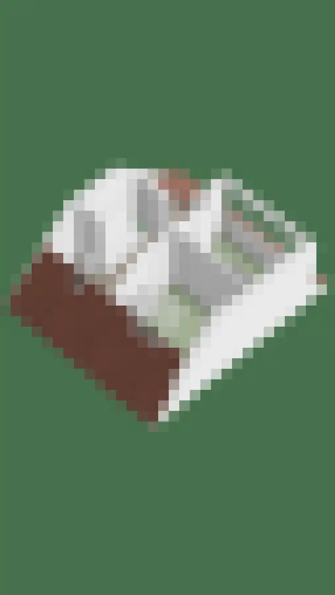 Buitentuin 97 Zaltbommel thumbnail 46