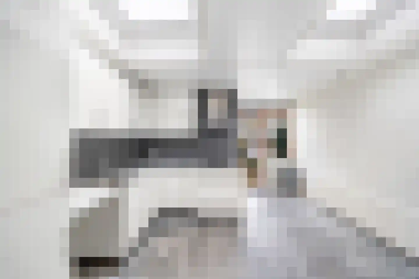 Buitentuinen 38 Den Haag thumbnail 11