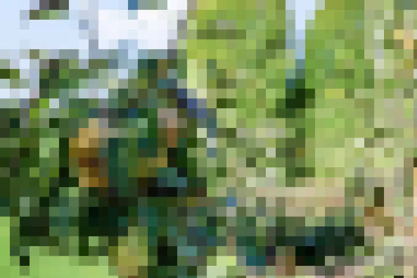 Buitenvaart 1713 Hoogeveen thumbnail 53