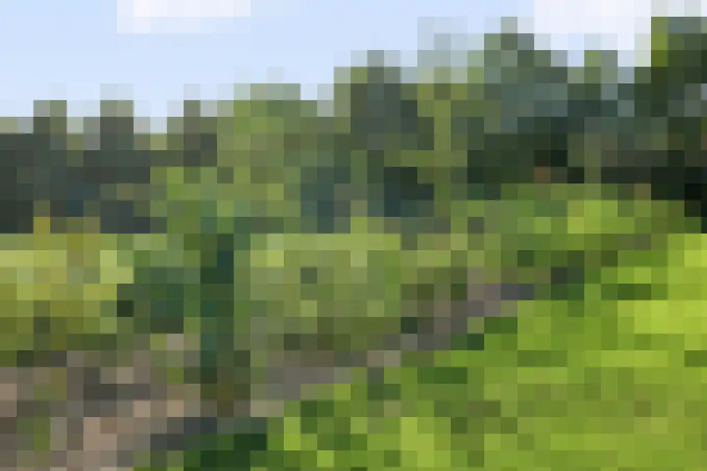Buitenvaart 1713 Hoogeveen thumbnail 61