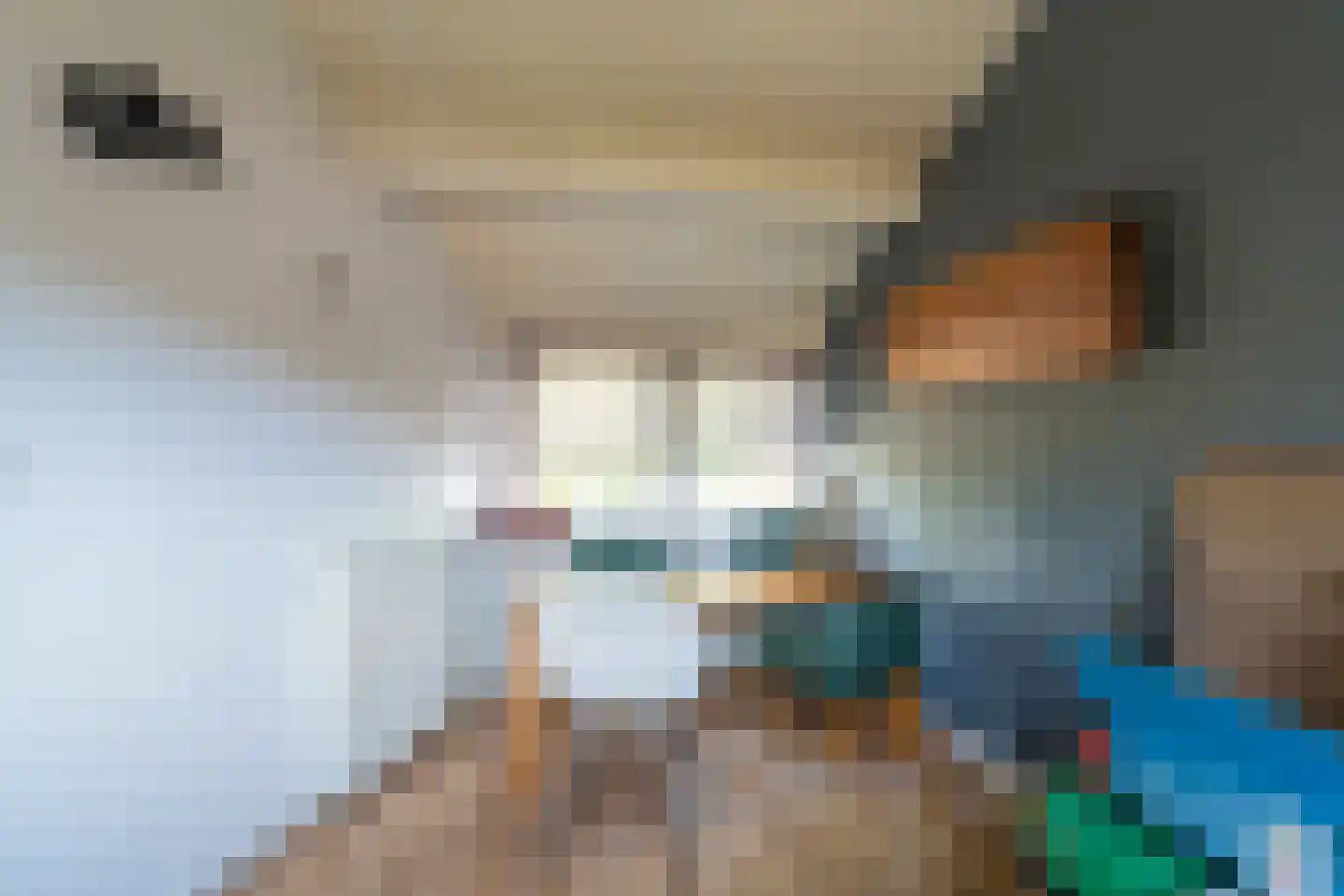 Buitenvaert 19 Kaatsheuvel thumbnail 18