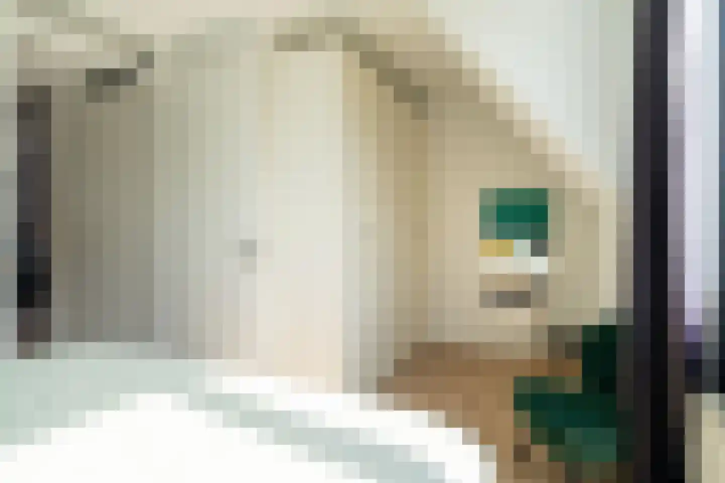 Buitenvaert 2 A Kaatsheuvel thumbnail 17