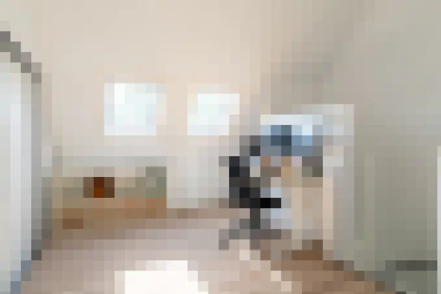 Buitenvaert 2 A Kaatsheuvel thumbnail 27