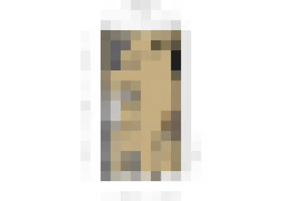 Buitenvaert 2 A Kaatsheuvel thumbnail 34