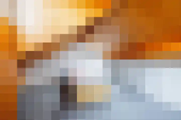 Buitenveld 11 Zeeland thumbnail 31