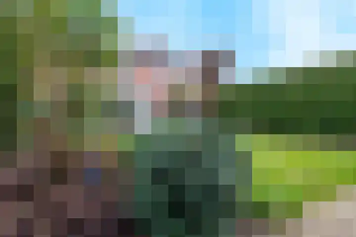 Buitenveld 11 Zeeland thumbnail 38