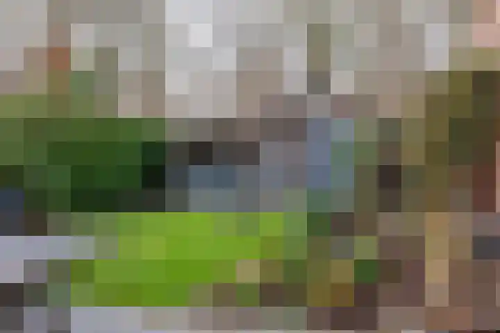 Buitenveld 11 Zeeland thumbnail 39