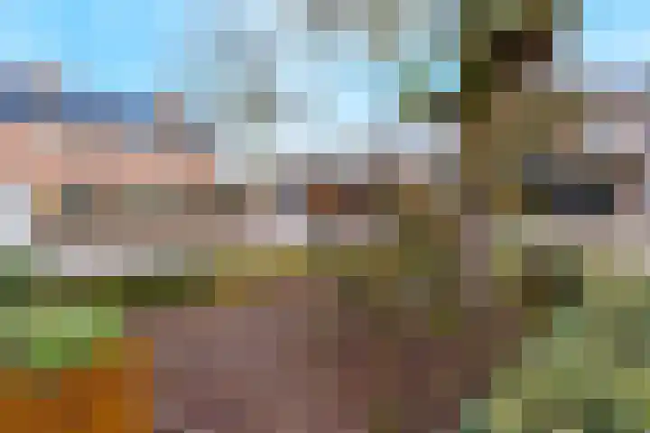 Buitenveld 11 Zeeland thumbnail 4