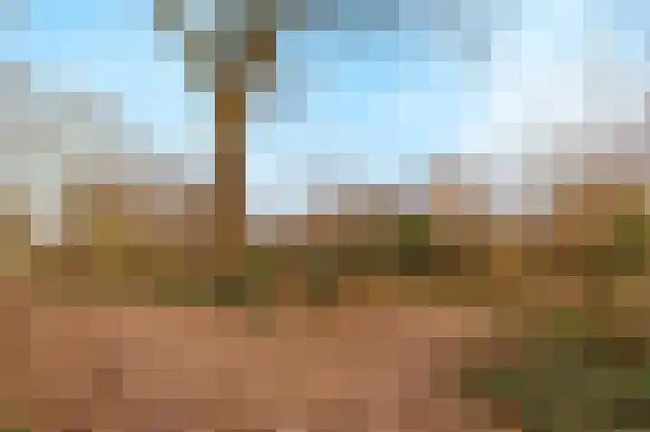 Buitenveld 11 Zeeland thumbnail 43