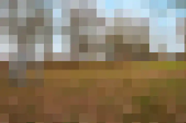 Buitenveld 11 Zeeland thumbnail 44