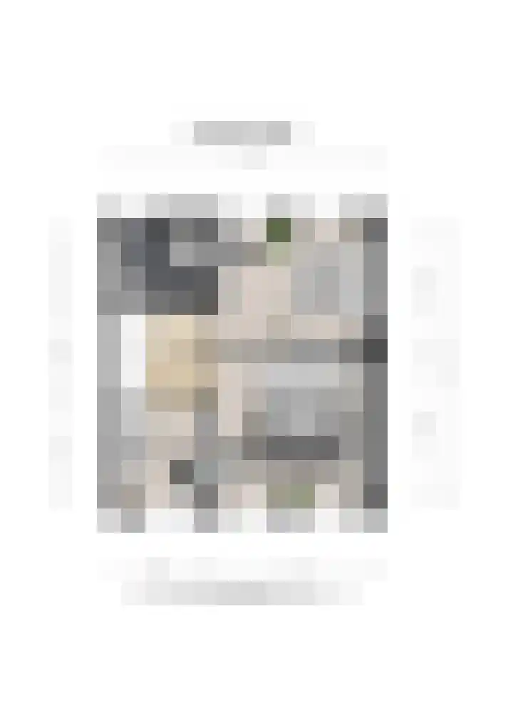 Buitenveld 11 Zeeland thumbnail 47