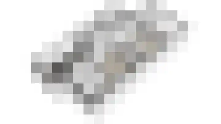 Buitenveld 11 Zeeland thumbnail 50