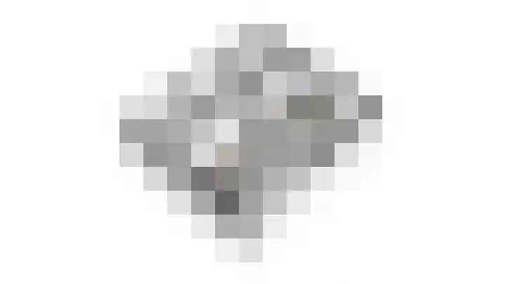 Buitenveld 11 Zeeland thumbnail 51