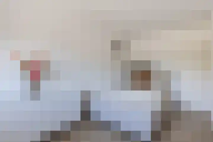 Buitenveldertselaan 47 Amsterdam thumbnail 11
