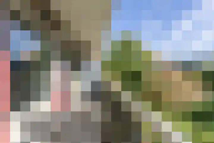 Buitenveldertselaan 47 Amsterdam thumbnail 18
