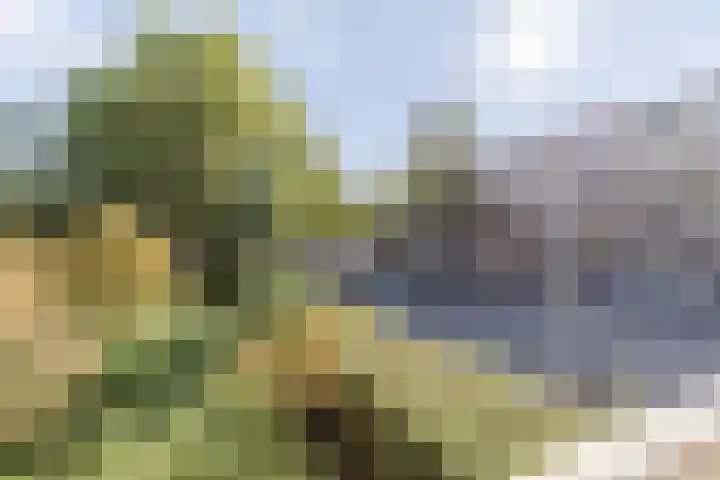 Buitenveldertselaan 47 Amsterdam thumbnail 20