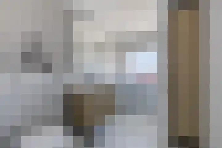 Buitenveldertselaan 47 Amsterdam thumbnail 4