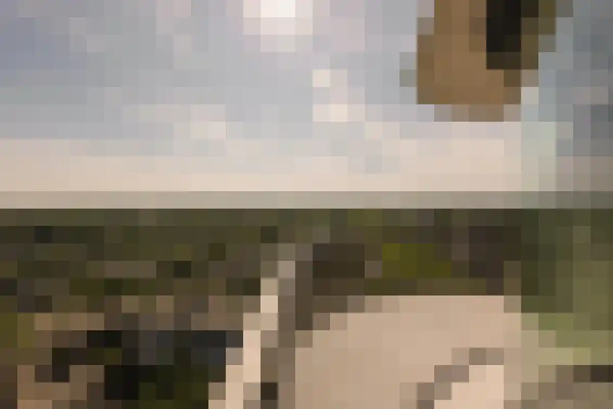 Buitenveldertselaan Amsterdam thumbnail 6