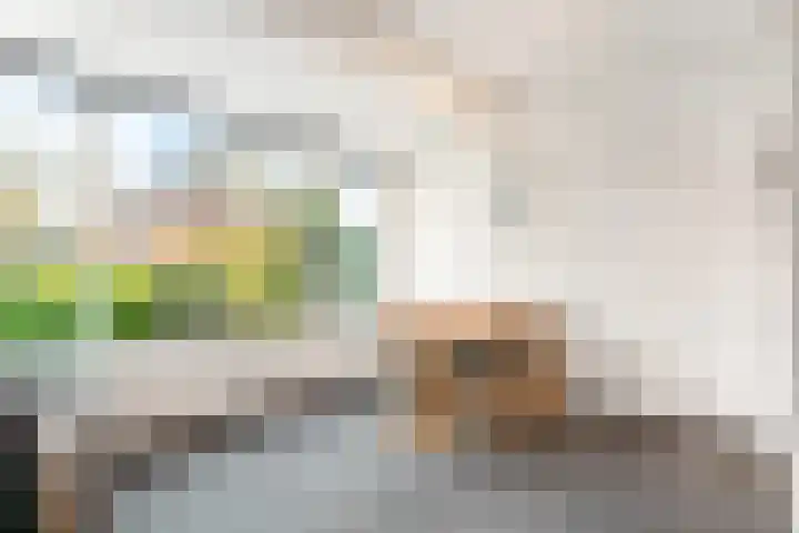 Buitenveldseweg 2 Hooglanderveen thumbnail 10