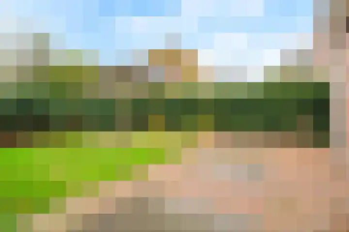 Buitenveldseweg 2 Hooglanderveen thumbnail 25
