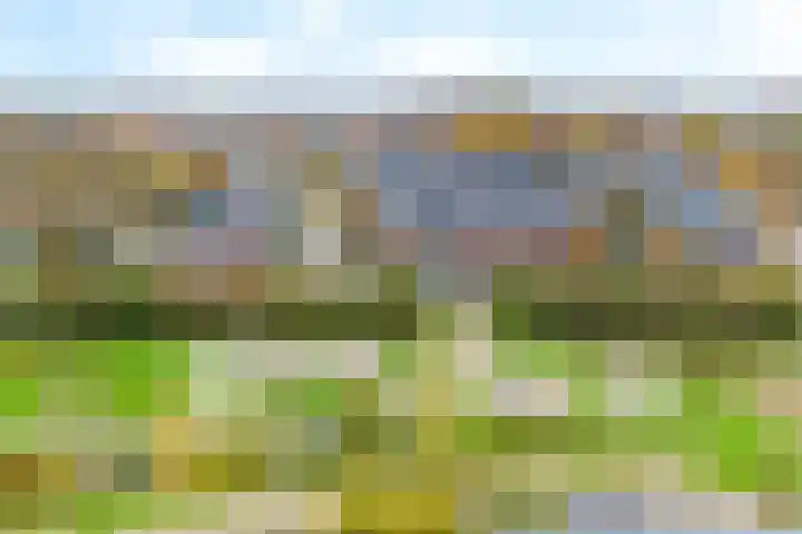 Buitenveldseweg 2 Hooglanderveen thumbnail 27