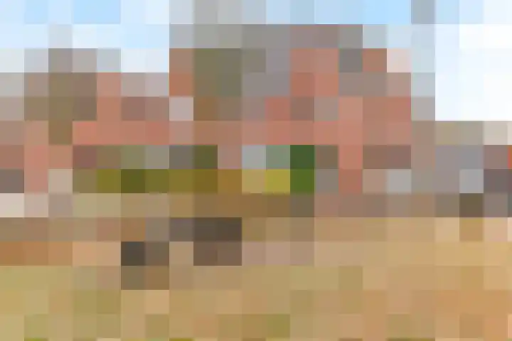 Buitenveldseweg 2 Hooglanderveen thumbnail 29