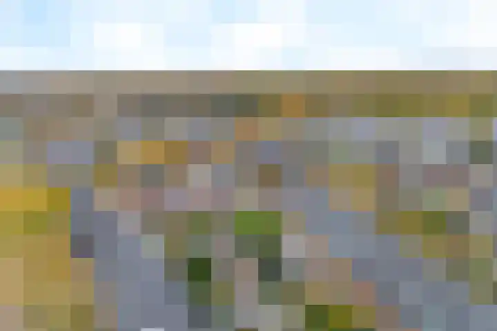 Buitenveldseweg 2 Hooglanderveen thumbnail 30