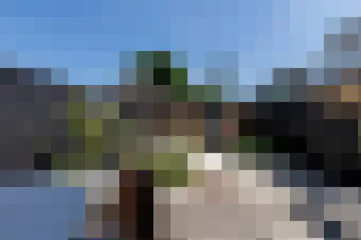 Buitenvest 24 Bergen op Zoom thumbnail 33