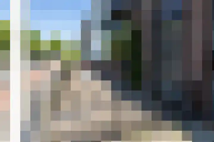 Buitenvest 24 Bergen op Zoom thumbnail 36