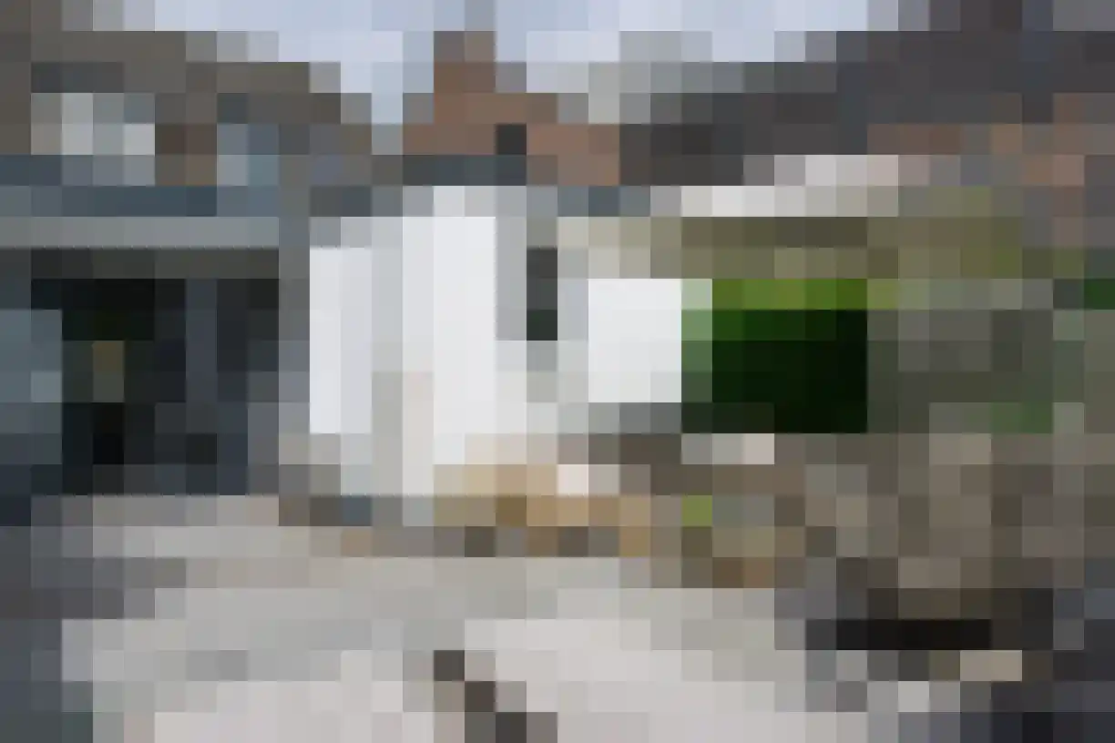 Buitenvest 90 Bergen op Zoom thumbnail 29