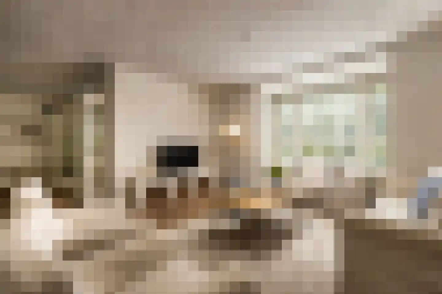 Buitenvoort 4 Helmond thumbnail 11